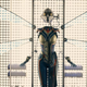 The Wasp costume seen in Ant-Man